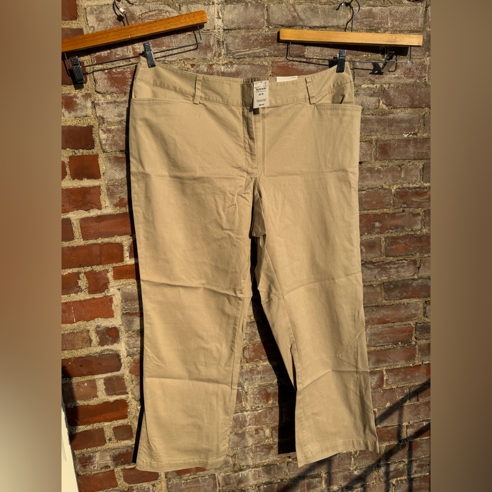 20W Lands' End Tan Straight Leg Jeans with Relaxed Fit